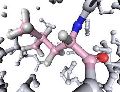 Yohimbine Hydrochloride