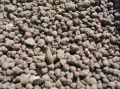 Rock Phosphate Fertilizer
