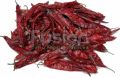 Red Chilli Whole