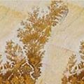 Mint Fossil Sandstone Tiles