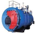 New Solid Fuel Fired Steam Boiler