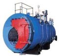 Solid Fuel Fired Steam Boilers