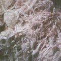 Cotton Sizing Yarn Waste