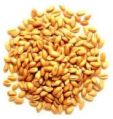 Certified Wheat Seed