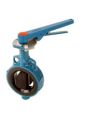 Slimseal Butterfly Valve