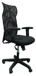 Executive Chair with Head Rest Net