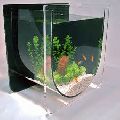 acrylic aquarium