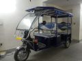 Cat Approved E-Rickshaw