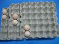 Paper Pulp Egg Trays