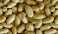 BLANCHED (WHOLE) BOLD PEANUTS