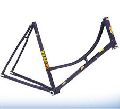 Bicycle Frame - Philips