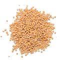 yellow mustard seeds