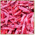 Sannam Stemless Dried Red Chilli