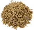 Caraway Seeds