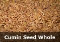 organic cumin seed