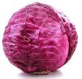 Fresh Purple Cabbage