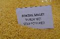 Foxtail millet semipolished (thinai)