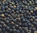 black pepper seeds