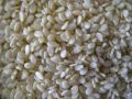 Common sesame seeds