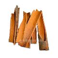 Dalchini - Whole Cinnamon