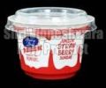 Disposable Ice Cream Cups