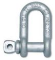 Forged Alloy D Shackle