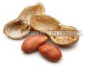 Peanut In-shell