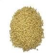 Pgp Quality Coriander Seeds