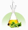 Celery Seed Oil