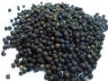 black pepper seed