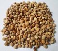 Herbal Ayurvedic Seeds