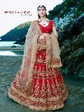 Beautiful Red Fancy Net Designer Lehenga Choli