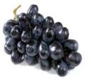 fresh black grapes