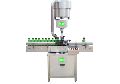 Single Head Automatic ROPP Capping Machine