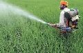 Bio Pesticide Spray
