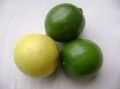 Fresh Lemon , Fresh Lime ,