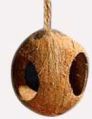 Coconut Shell Birds Nest