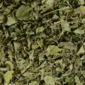 moringa dried green leaves