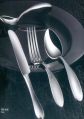 Oblique Stainless Steel Cutlery Set