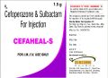 Cefglobe S Forte 1gm By Ravi Specialities Pharma Pvt Ltd Cefglobe S Forte 1gm Injection Id