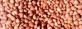 Red Cow Peas