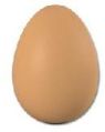 fresh non hatching brown eggs