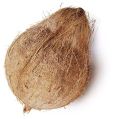 Fresh Coconut, Dry Coconut