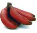 red banana