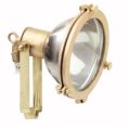 24v 100w Reflector Lamp Reolite