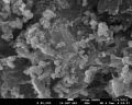 Iron Oxide Nanoparticles