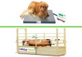 Veterinary and Animal Weighing Scales