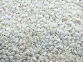 White Sesame Seeds (Hulled)