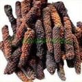 Aushadhi Herbal Pippali Extract