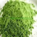 Green wheatgrass powder